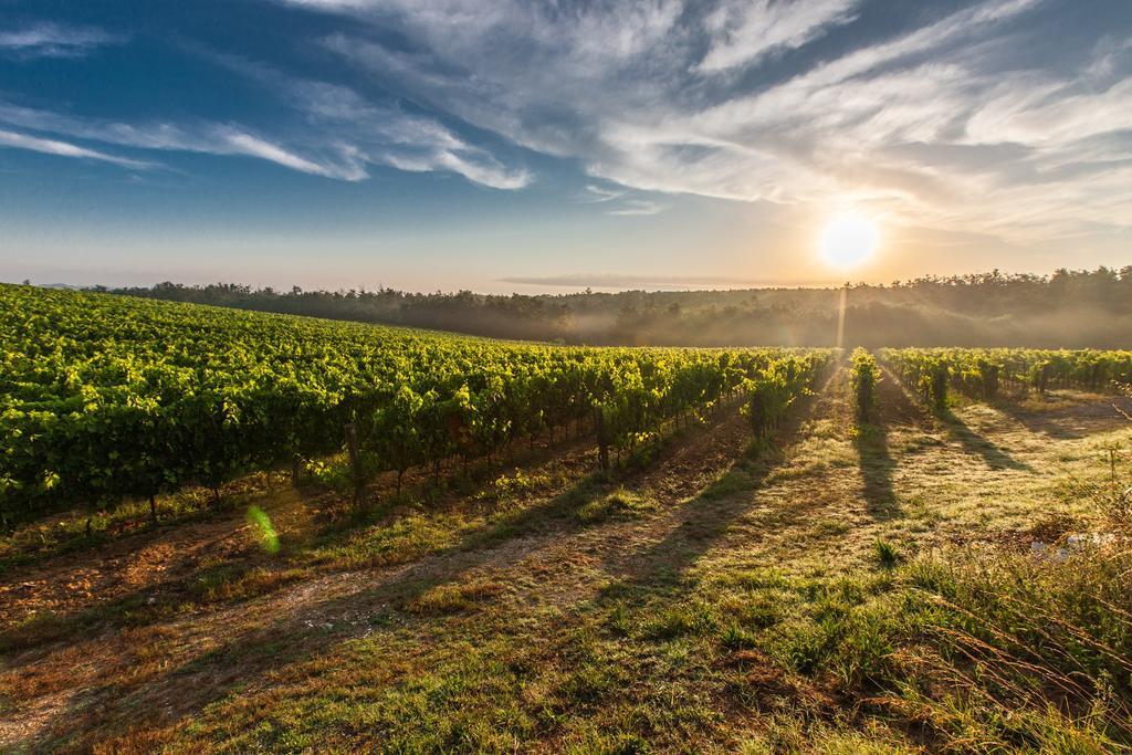 Villa Porticciolo Montepulciano Stazione エクステリア 写真